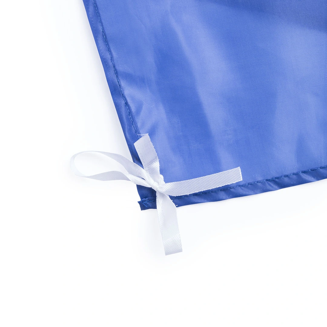 Bandera Dambor - Detalle D1